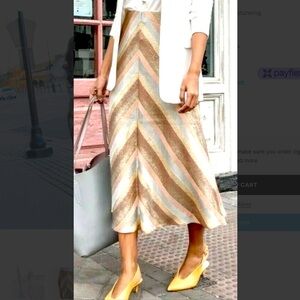 Zara Metallic Stripe Skirt